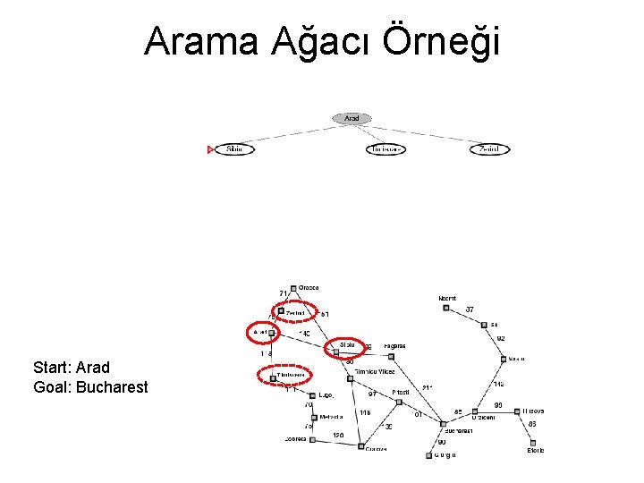 Arama Ağacı Örneği Start: Arad Goal: Bucharest 