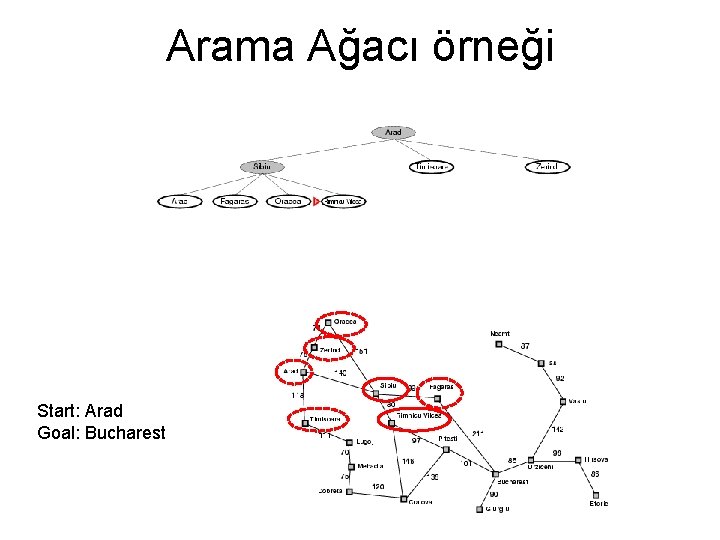 Arama Ağacı örneği Start: Arad Goal: Bucharest 