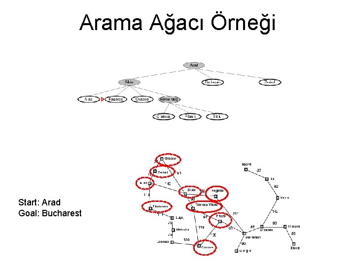Arama Ağacı Örneği Start: Arad Goal: Bucharest 