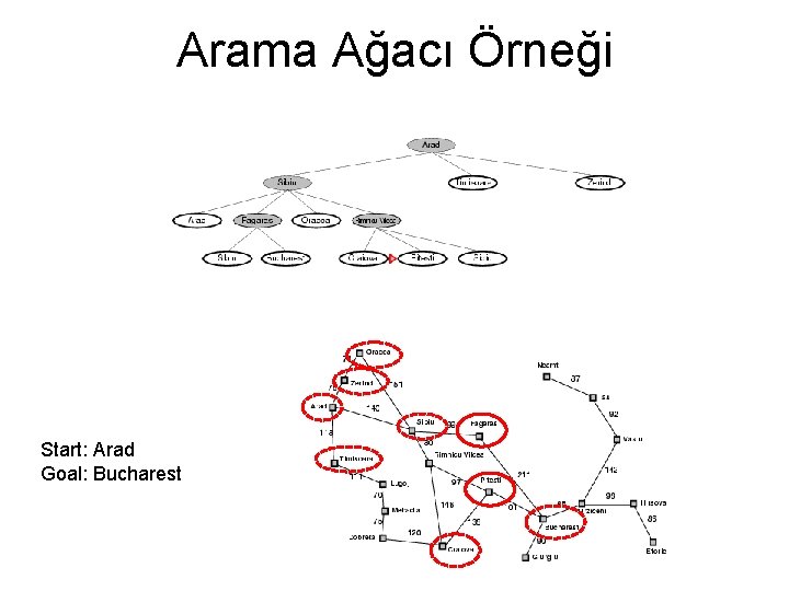 Arama Ağacı Örneği Start: Arad Goal: Bucharest 