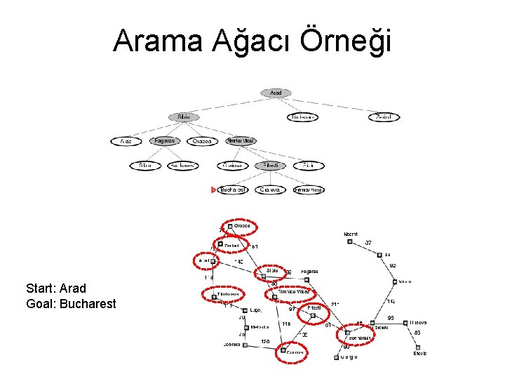 Arama Ağacı Örneği Start: Arad Goal: Bucharest 