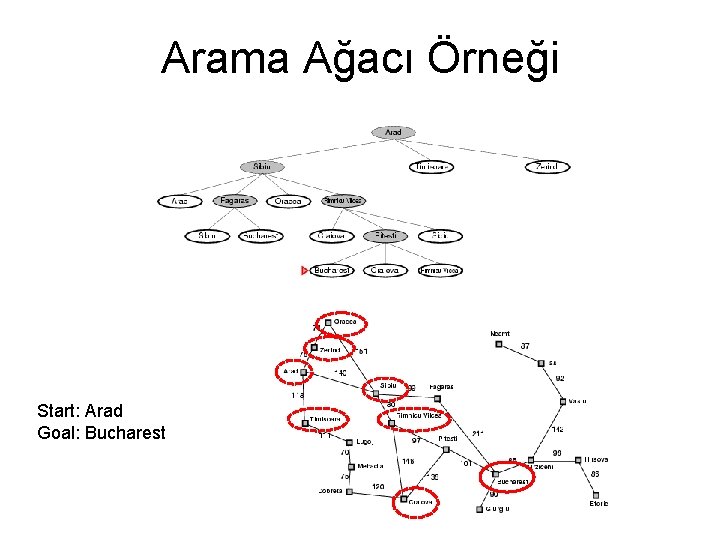 Arama Ağacı Örneği Start: Arad Goal: Bucharest 