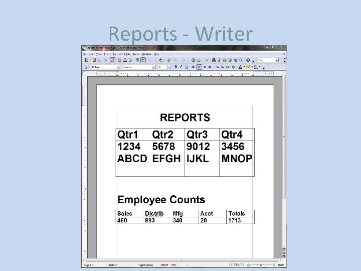 Reports - Writer 
