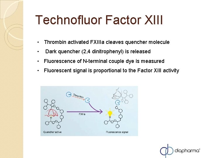 Technofluor Factor XIII • Thrombin activated FXIIIa cleaves quencher molecule • Dark quencher (2, Technofluor Factor XIII • Thrombin activated FXIIIa cleaves quencher molecule • Dark quencher (2,