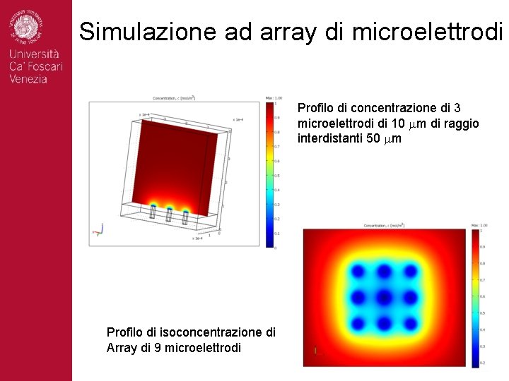 Simulazione ad array di microelettrodi Profilo di concentrazione di 3 microelettrodi di 10 mm
