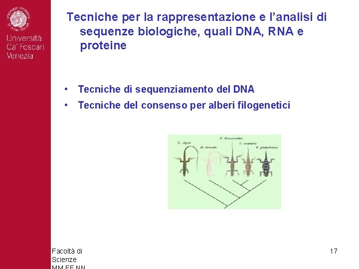 Tecniche per la rappresentazione e l’analisi di sequenze biologiche, quali DNA, RNA e proteine