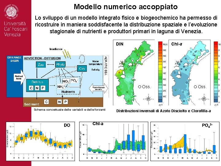 Modello numerico accoppiato Lo sviluppo di un modello integrato fisico e biogeochemico ha permesso