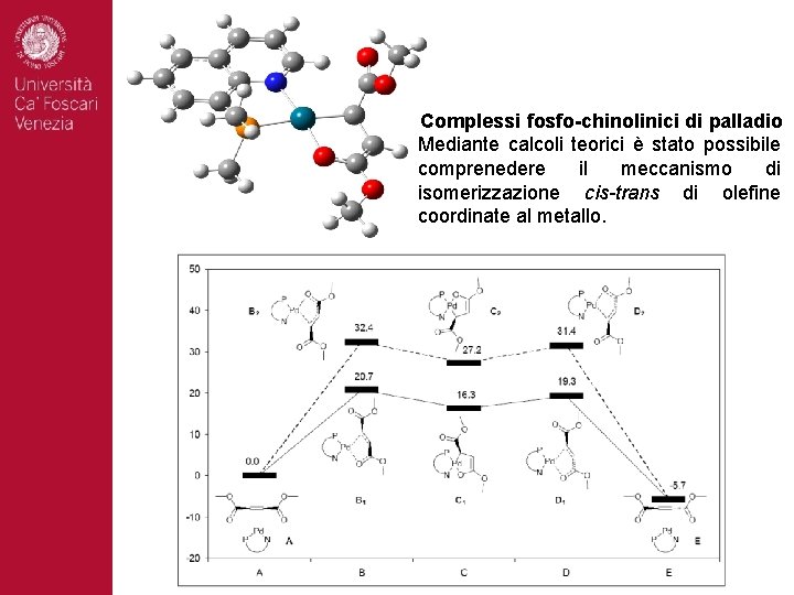 Complessi fosfo-chinolinici di palladio Mediante calcoli teorici è stato possibile comprenedere il meccanismo di