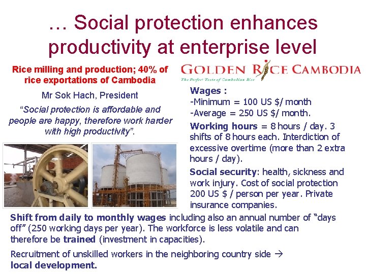 … Social protection enhances productivity at enterprise level Rice milling and production; 40% of