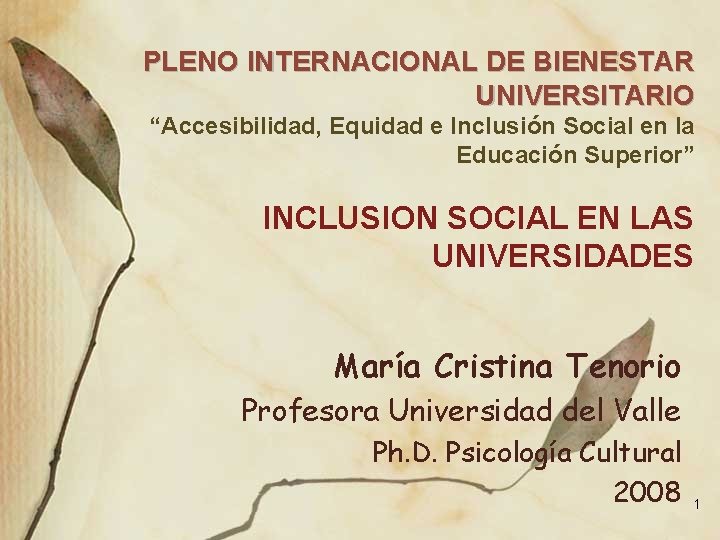 PLENO INTERNACIONAL DE BIENESTAR UNIVERSITARIO “Accesibilidad, Equidad e Inclusión Social en la Educación Superior”