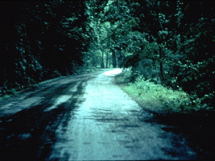 Country road 