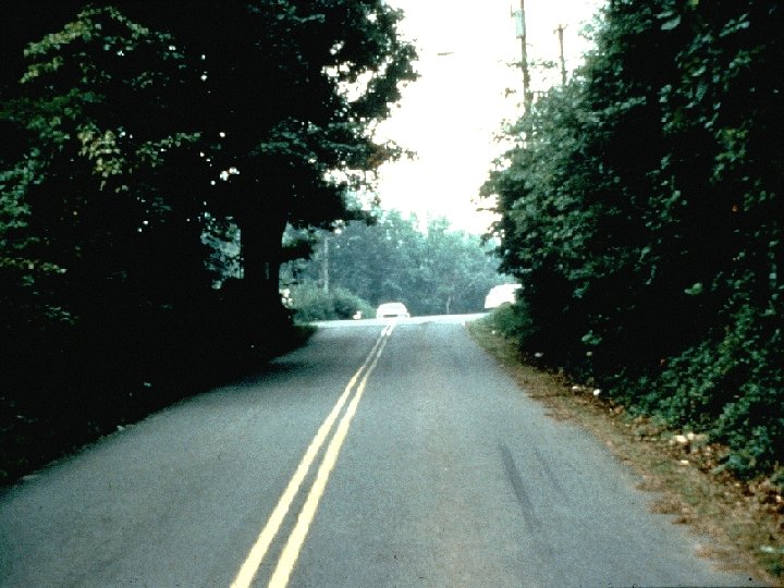 Pavement markings 