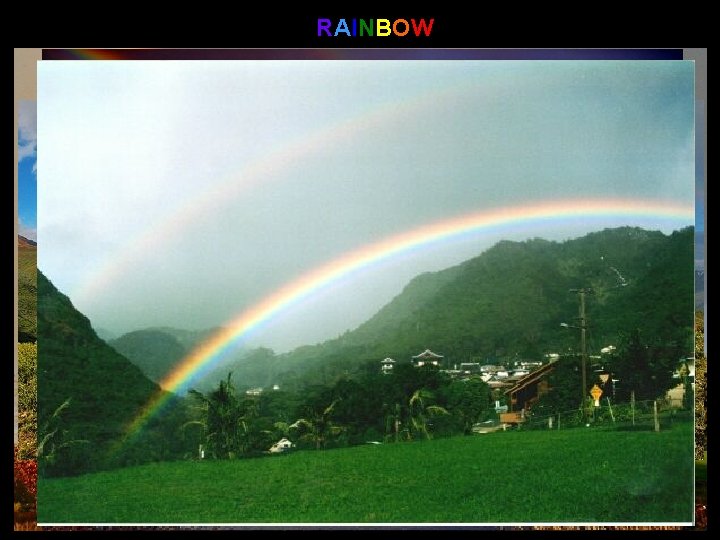 RAINBOW 