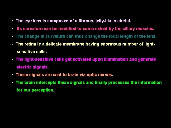  • The eye lens is composed of a fibrous, jelly-like material. • Its