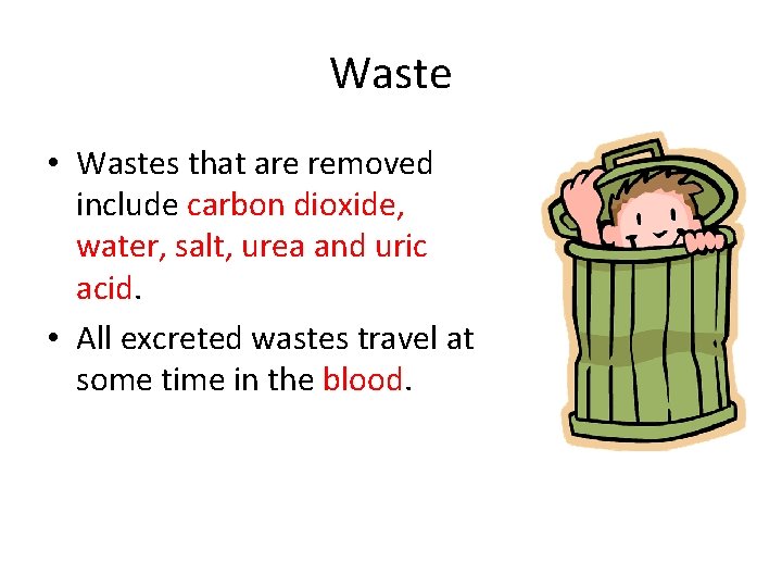 Waste • Wastes that are removed include carbon dioxide, water, salt, urea and uric