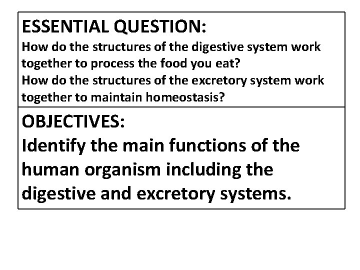 ESSENTIAL QUESTION: How do the structures of the digestive system work together to process