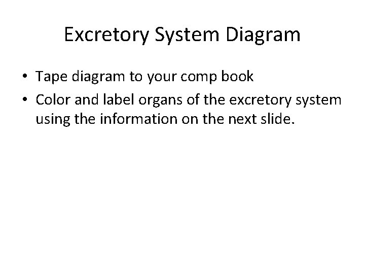 Excretory System Diagram • Tape diagram to your comp book • Color and label