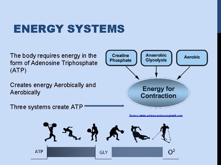 ENERGY SYSTEMS The body requires energy in the form of Adenosine Triphosphate (ATP) Creates