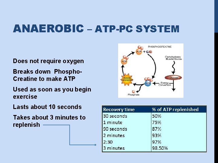 ANAEROBIC – ATP-PC SYSTEM Does not require oxygen Breaks down Phospho. Creatine to make
