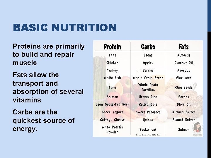 BASIC NUTRITION Proteins are primarily to build and repair muscle Fats allow the transport