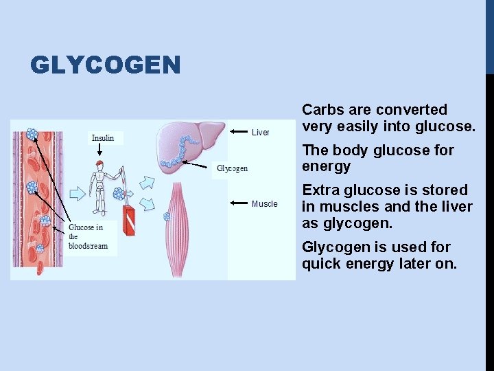 GLYCOGEN Carbs are converted very easily into glucose. The body glucose for energy Extra