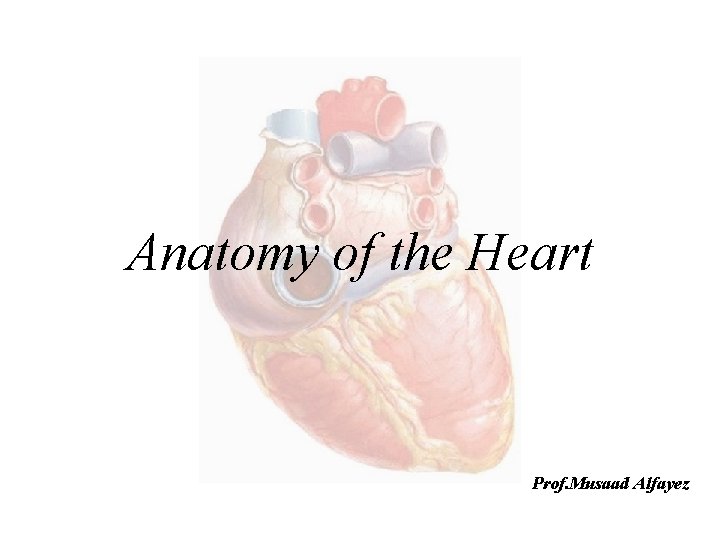 Anatomy of the Heart Prof. Musaad Alfayez 