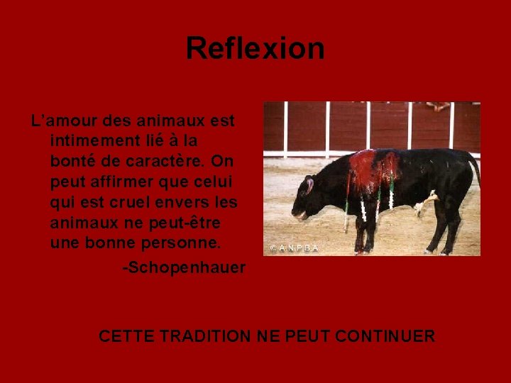 Reflexion L’amour des animaux est intimement lié à la bonté de caractère. On peut