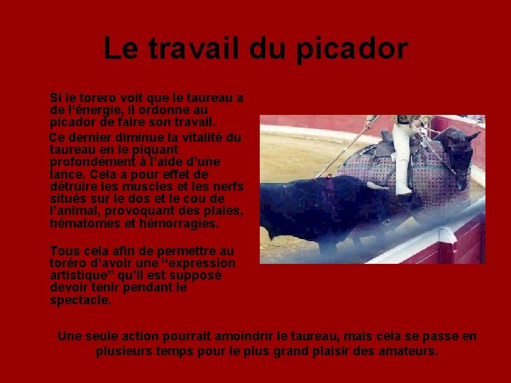 Le travail du picador Si le torero voit que le taureau a de l’énergie,