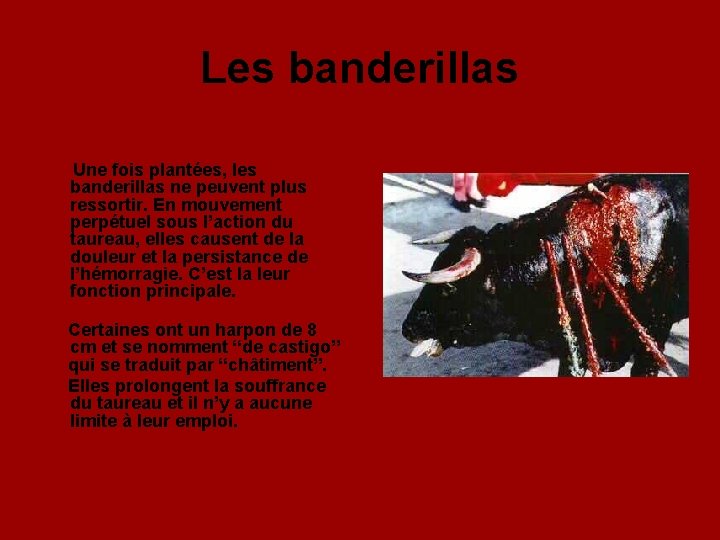 Les banderillas Une fois plantées, les banderillas ne peuvent plus ressortir. En mouvement perpétuel