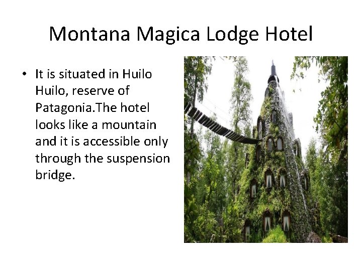 Montana Magica Lodge Hotel • It is situated in Huilo, reserve of Patagonia. The