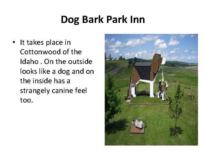 Dog Bark Park Inn • It takes place in Cottonwood of the Idaho. On