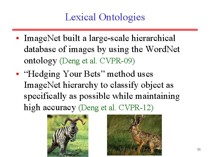 Lexical Ontologies • Image. Net built a large-scale hierarchical database of images by using