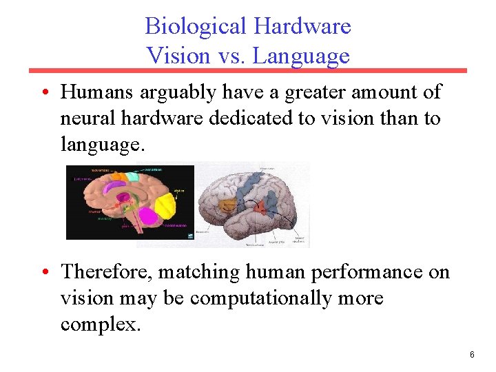 Biological Hardware Vision vs. Language • Humans arguably have a greater amount of neural