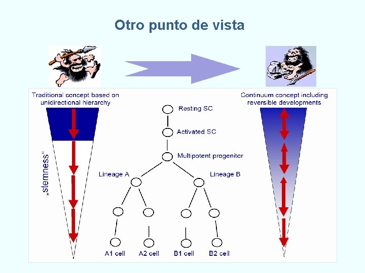 Otro punto de vista 