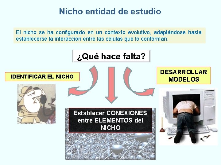 Nicho entidad de estudio El nicho se ha configurado en un contexto evolutivo, adaptándose Nicho entidad de estudio El nicho se ha configurado en un contexto evolutivo, adaptándose