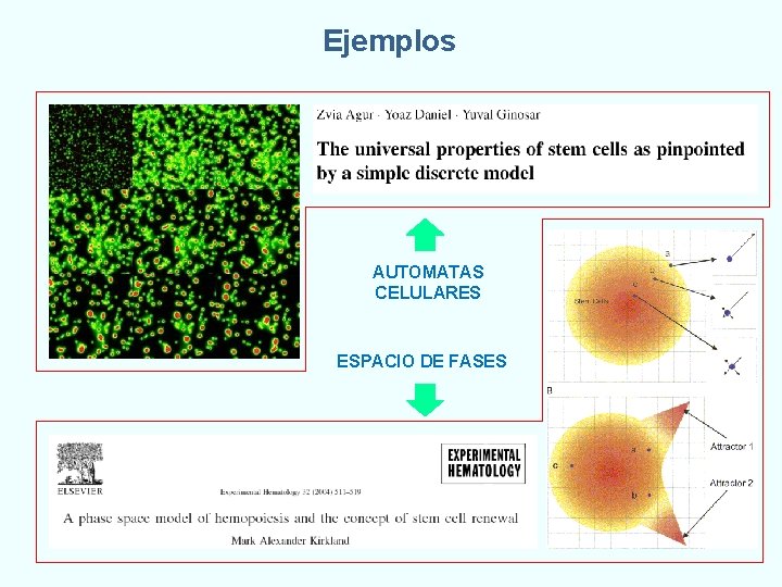 Ejemplos AUTOMATAS CELULARES ESPACIO DE FASES 