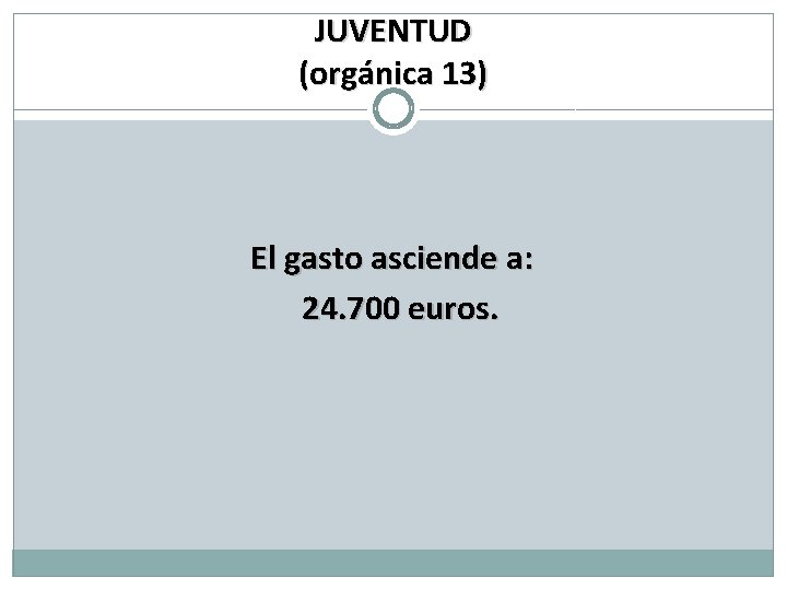 JUVENTUD (orgánica 13) El gasto asciende a: 24. 700 euros. 