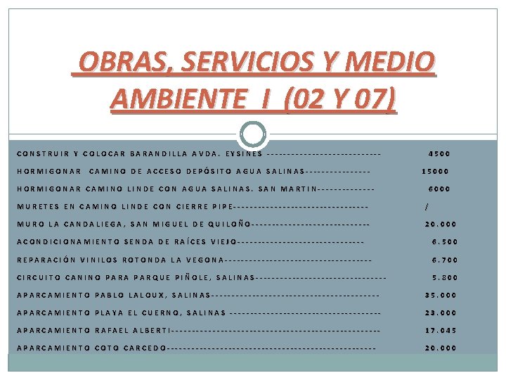 OBRAS, SERVICIOS Y MEDIO AMBIENTE I (02 Y 07) CONSTRUIR Y COLOCAR BARANDILLA AVDA.