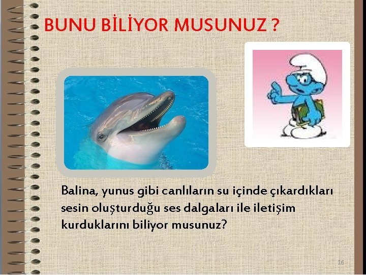 BUNU BİLİYOR MUSUNUZ ? Balina, yunus gibi canlıların su içinde çıkardıkları sesin oluşturduğu ses