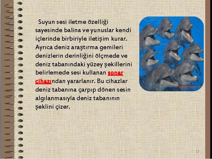 Suyun sesi iletme özelliği sayesinde balina ve yunuslar kendi içlerinde birbiriyle iletişim kurar. Ayrıca