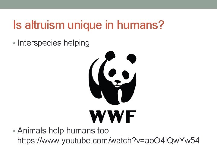 Is altruism unique in humans? • Interspecies helping • Animals help humans too https: