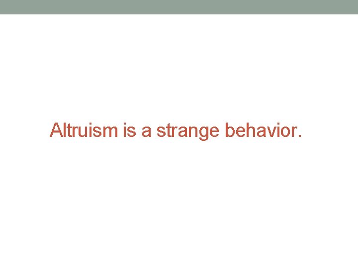 Altruism is a strange behavior. 