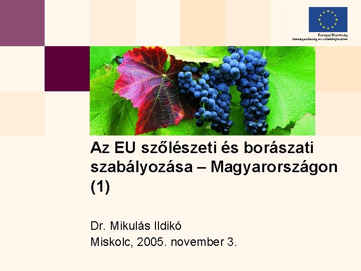 Az EU szőlészeti és borászati szabályozása – Magyarországon (1) Dr. Mikulás Ildikó Miskolc, 2005.