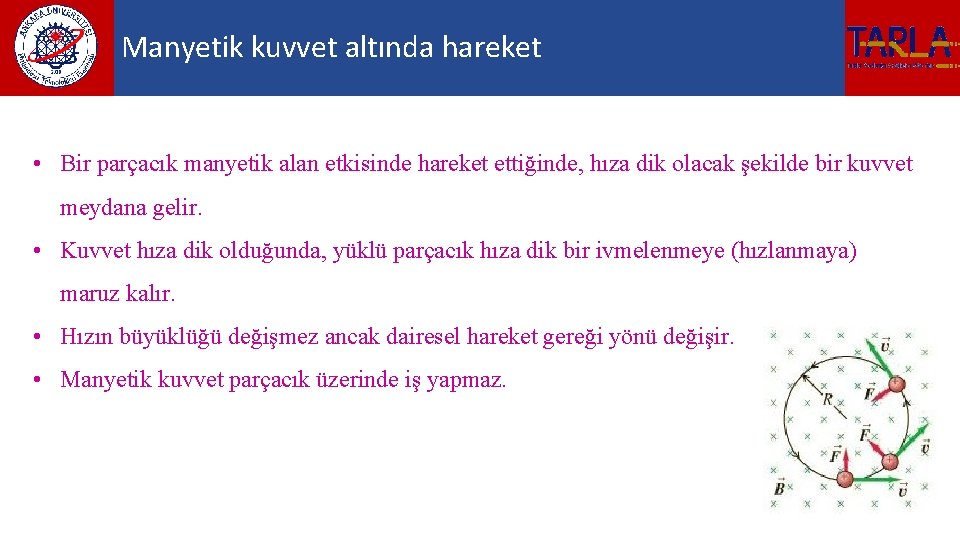 Manyetik kuvvet altında hareket • Bir parçacık manyetik alan etkisinde hareket ettiğinde, hıza dik