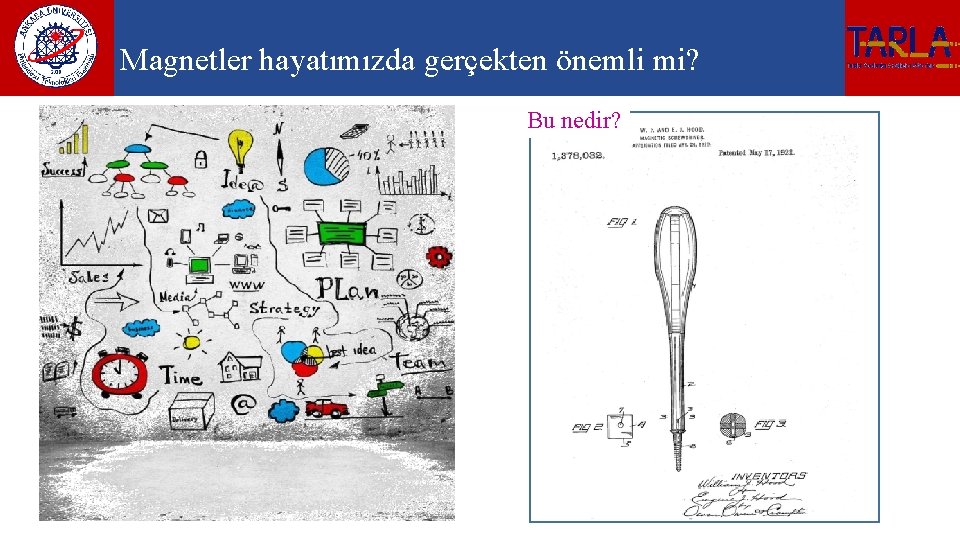 Magnetler hayatımızda gerçekten önemli mi? Bu nedir? 