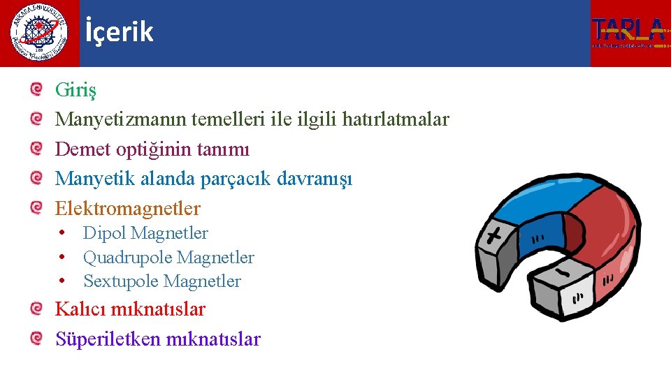 İçerik Giriş Manyetizmanın temelleri ile ilgili hatırlatmalar Demet optiğinin tanımı Manyetik alanda parçacık davranışı