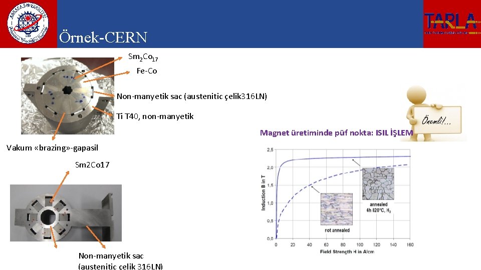 Örnek-CERN Sm 2 Co 17 Fe-Co Non-manyetik sac (austenitic çelik 316 LN) Ti T