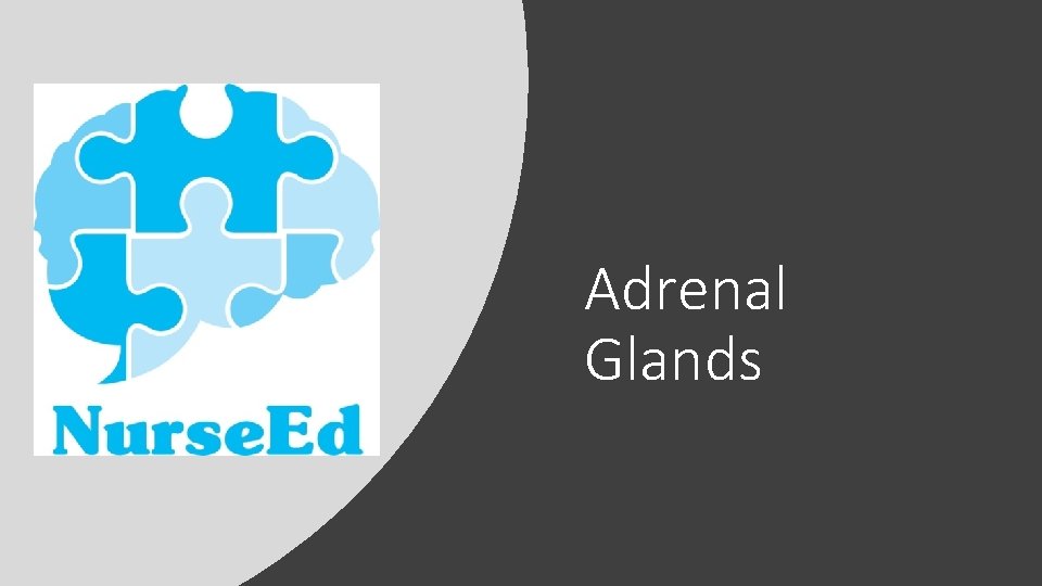 Adrenal Glands Adrenal Glands