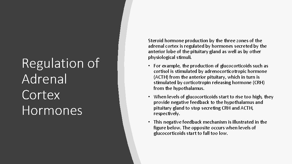 Regulation of Adrenal Cortex Hormones Steroid hormone production by the three zones of the