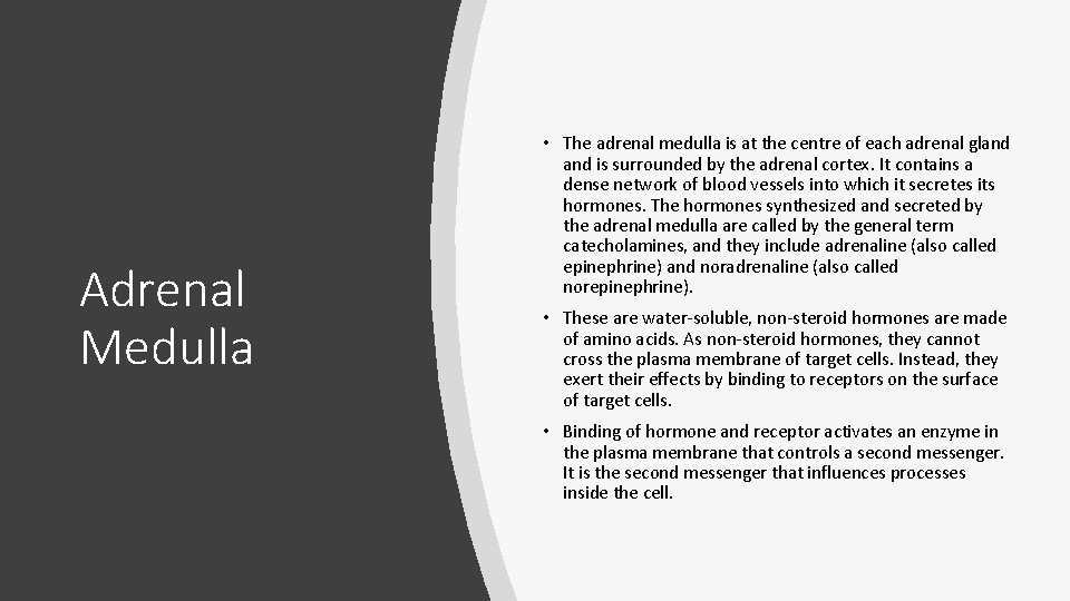 Adrenal Medulla • The adrenal medulla is at the centre of each adrenal gland